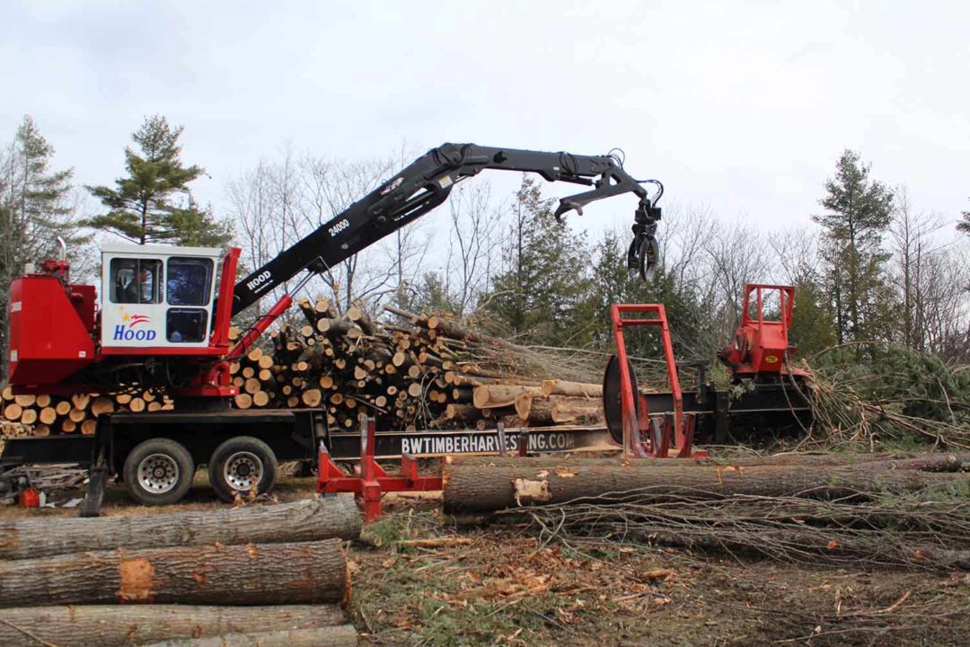 Photo Gallery BW Timber Harvesting