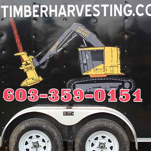BW Timber Harvesting