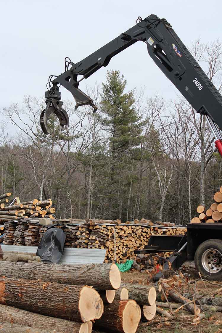 , Timber Harvesting Services New Hampshire