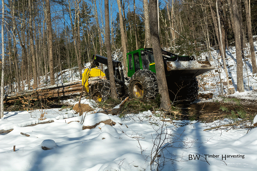 Logging in Vermont & New Hampshire